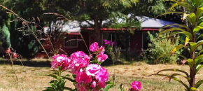 Hermosa casa, full naturaleza a minutos de Villarrica